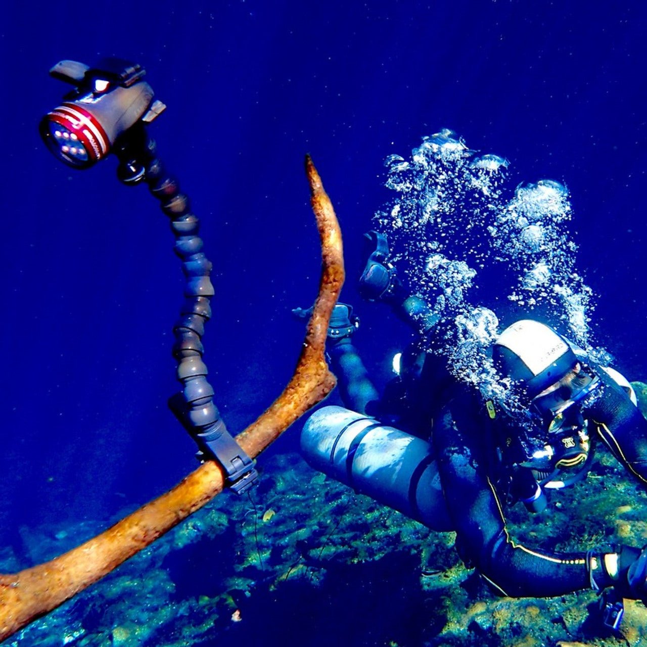 Underwater photography utilising the Dinkum Clamp to Clamp (1" to 2").