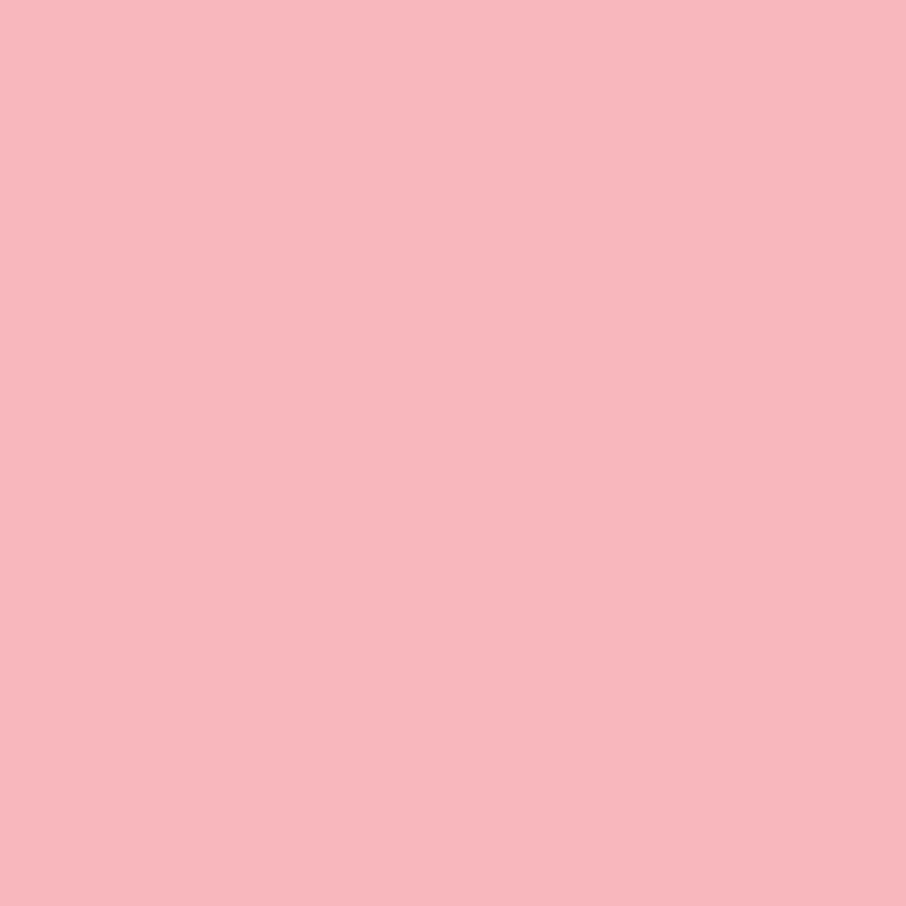 Colour sample for Bubblegum Pink JOBY Seamless Background Paper.