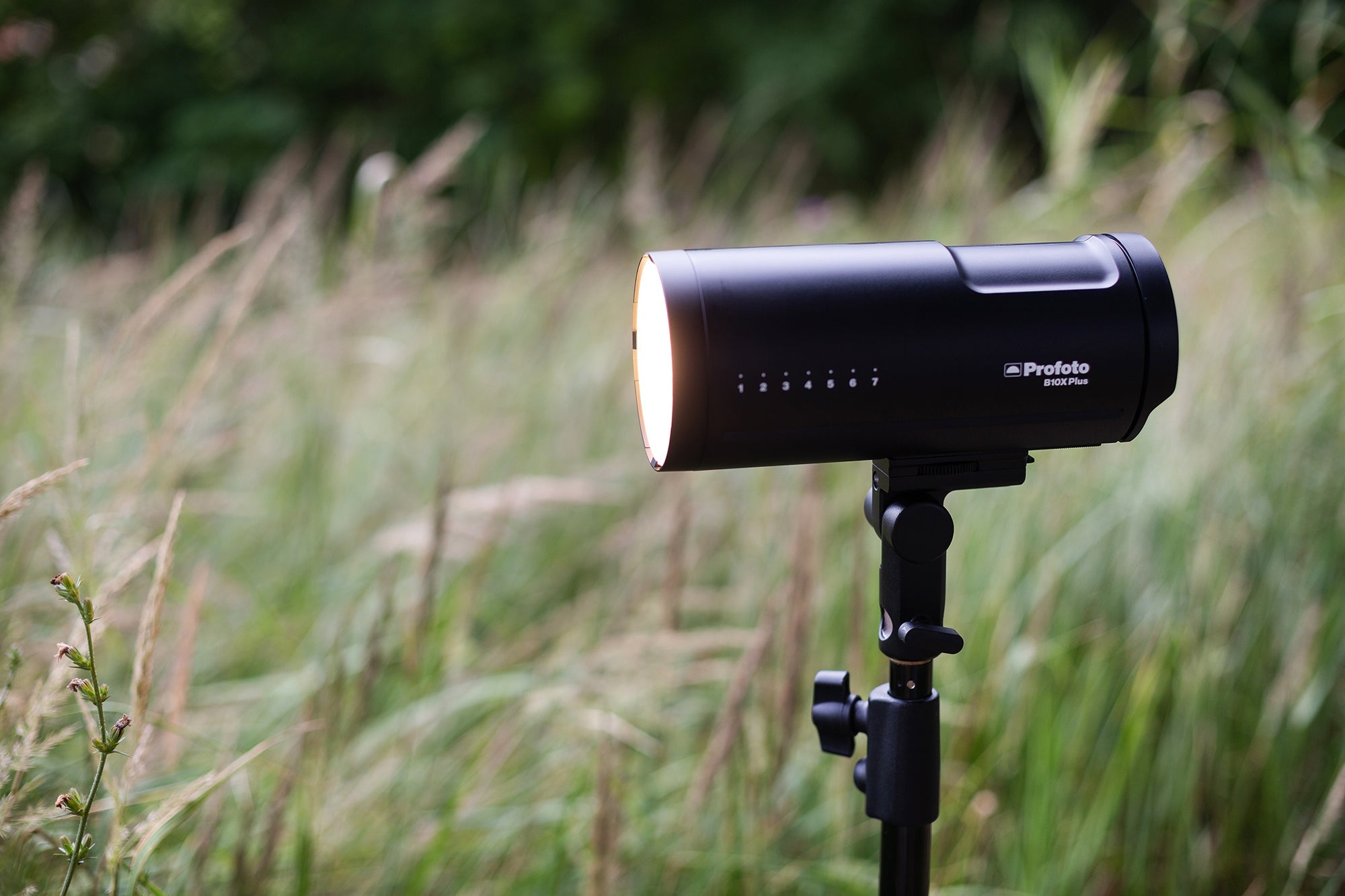 Side view of the Profoto B10X Plus out on location.