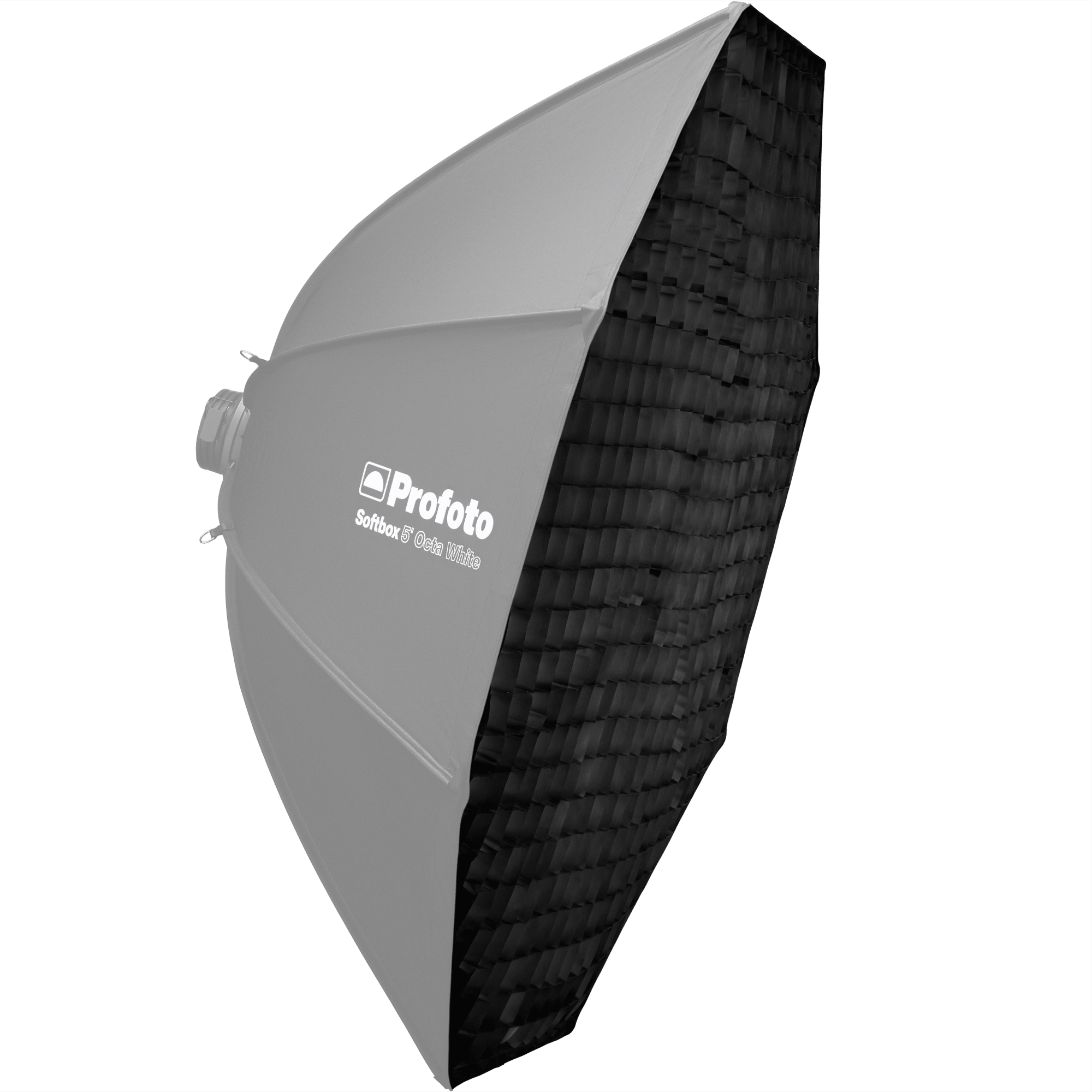 Profoto Softgrid 5' Octa with the softbox ghosted our for illustration purposes.