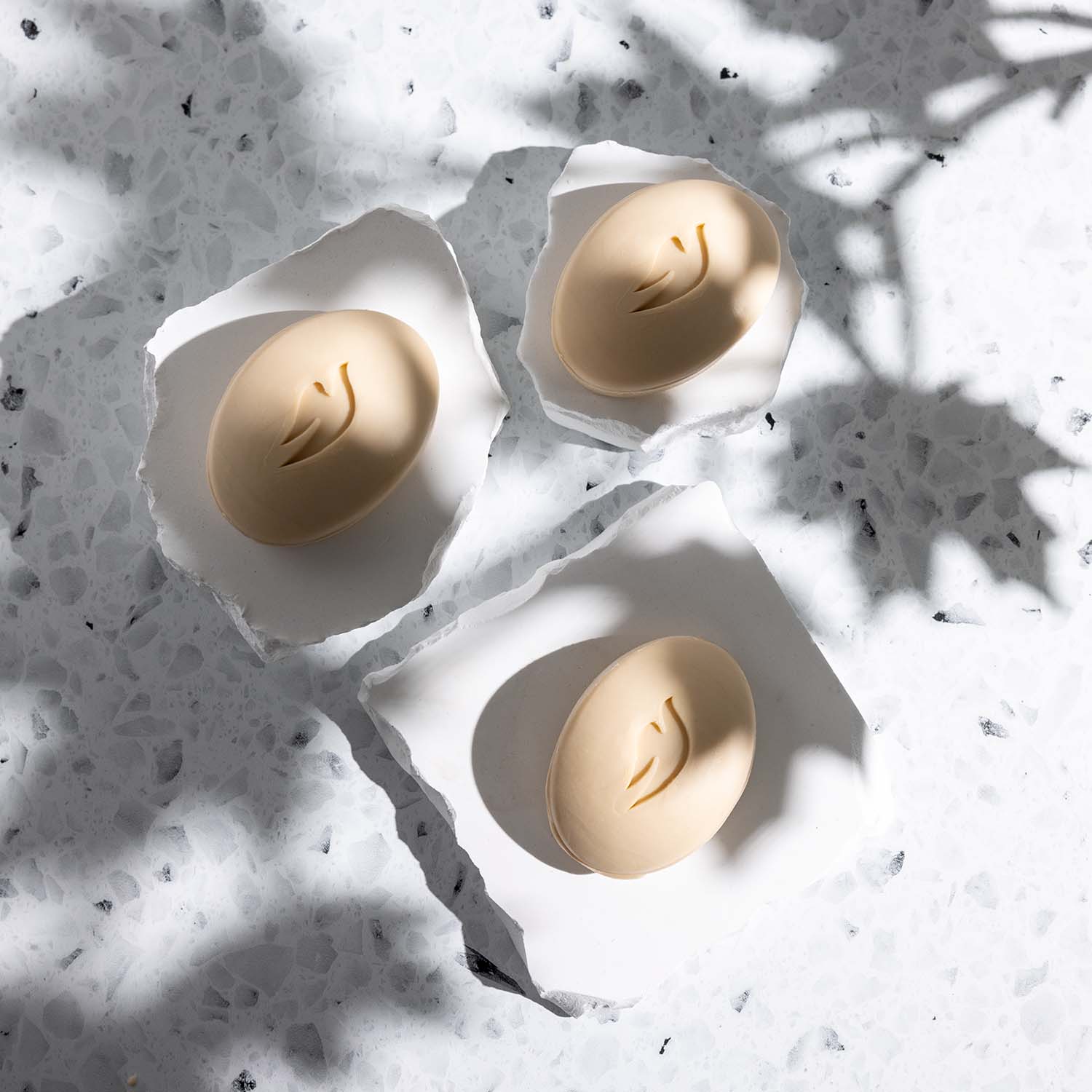 Birds eye view of a V-Flat Maple Leafs light shaper being used.