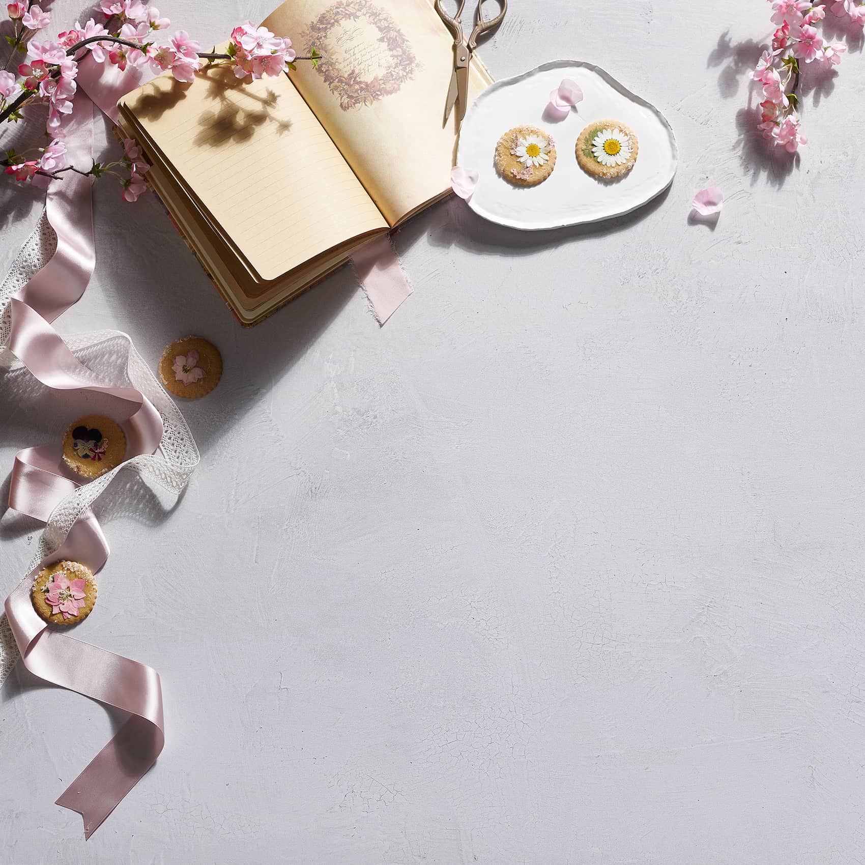 V-Flat Raw Concrete/Vintage Plaster Duo Board being used as a background to photograph flowers.