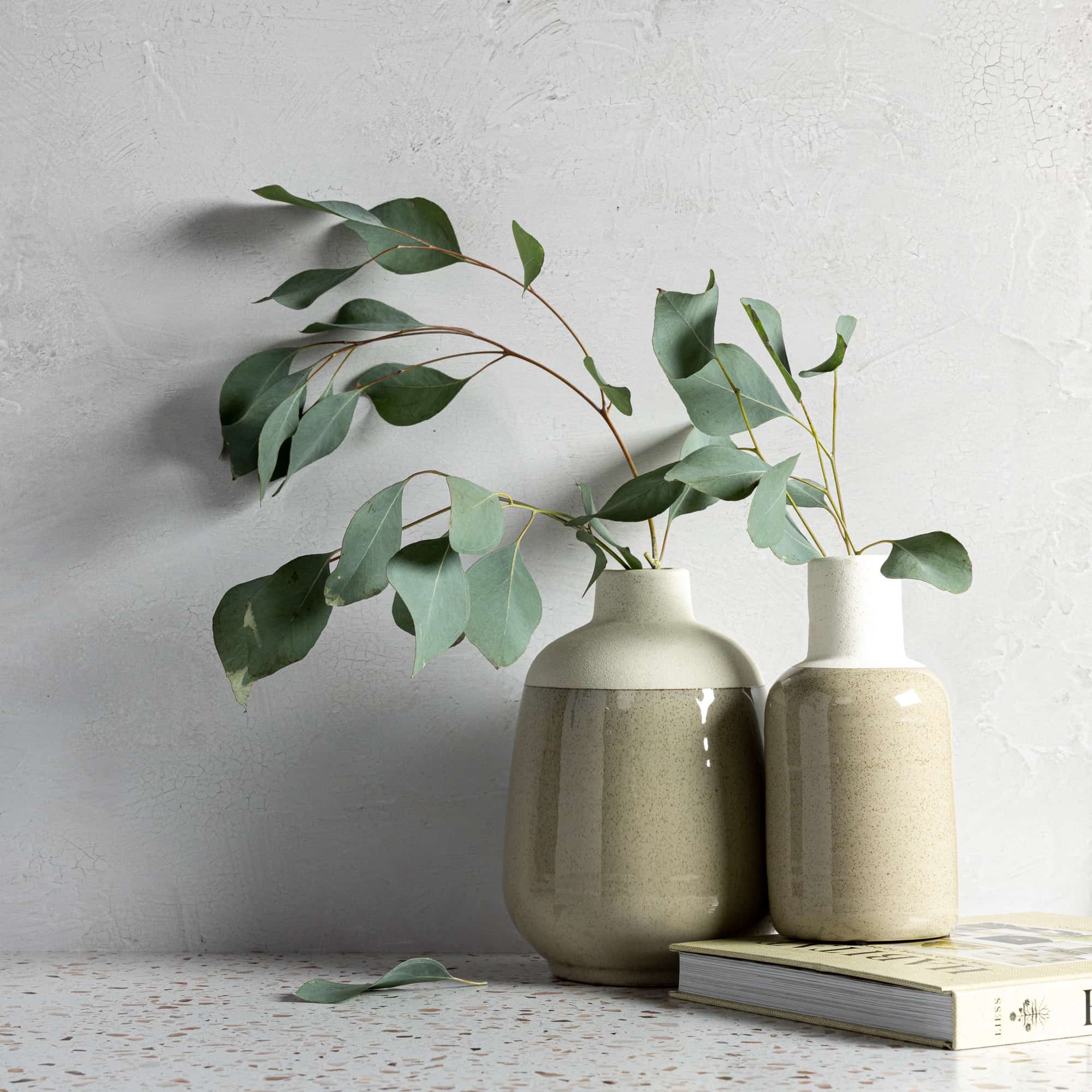 V-Flat Raw Concrete/Vintage Plaster Duo Board being used as a background to capture some plants.