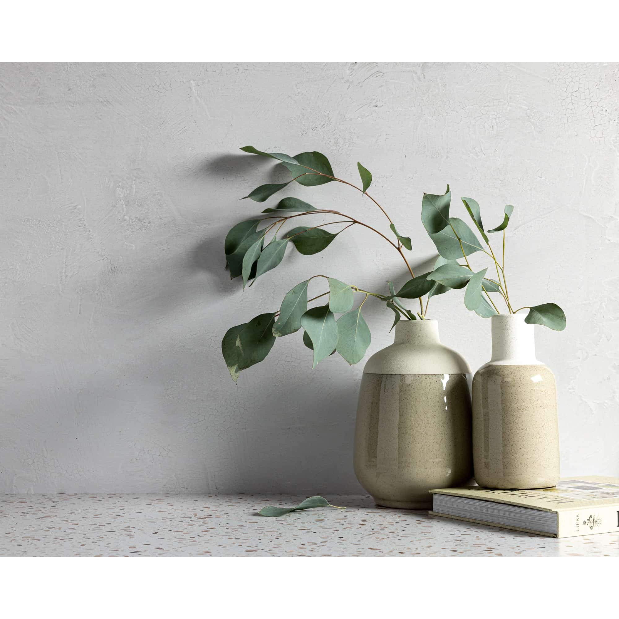 V-Flat Raw Concrete/Vintage Plaster - XL Duo Board being used as a background to capture plants.
