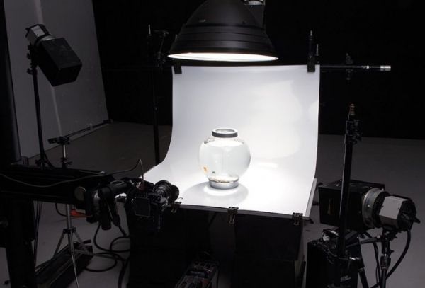 Colorama Colorgloss Tabletop White Background.