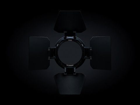 Profoto OCF II Barn Door Video