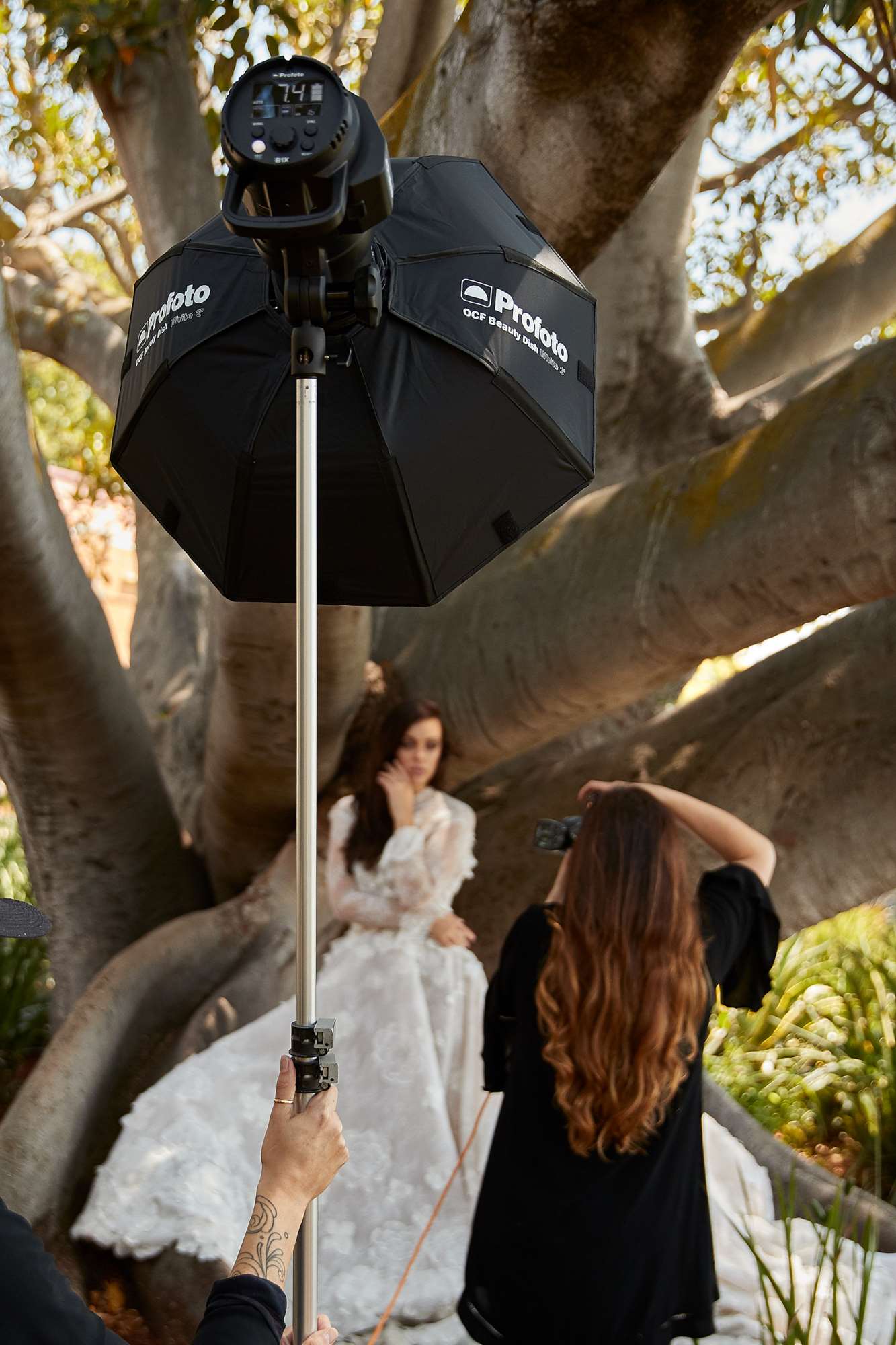 OCF Beauty Dish White 2' being used on a photo shoot