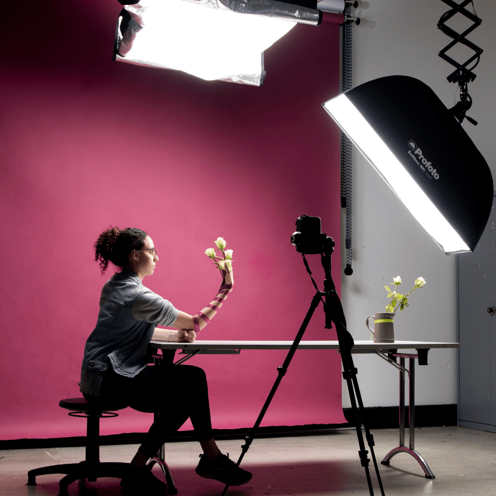 Photography Studio utilising Profoto lighting and Damson Colorama background paper.