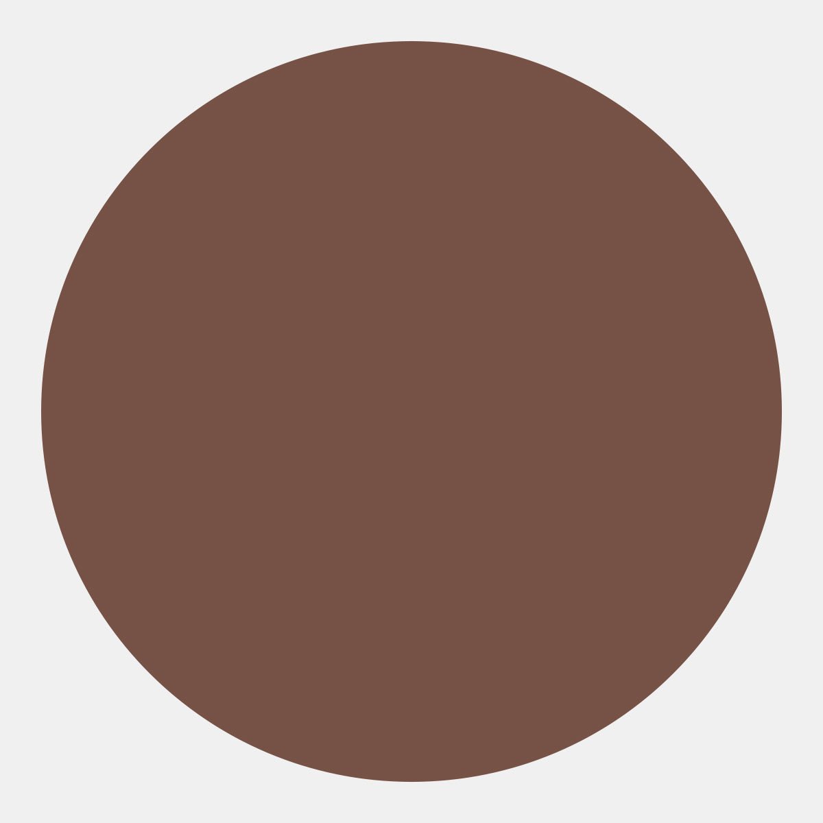 Brown Seamless Backgrounds - AJ's Photo Video Limited