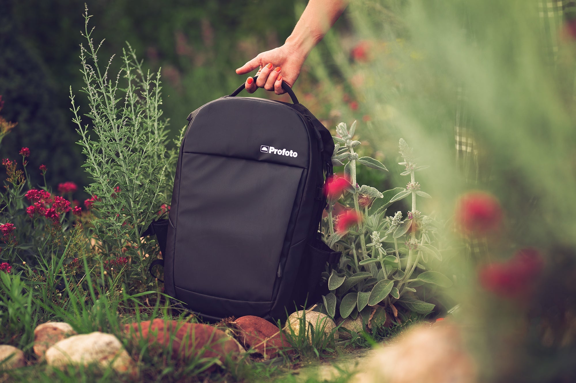 Profoto Summer Promotion