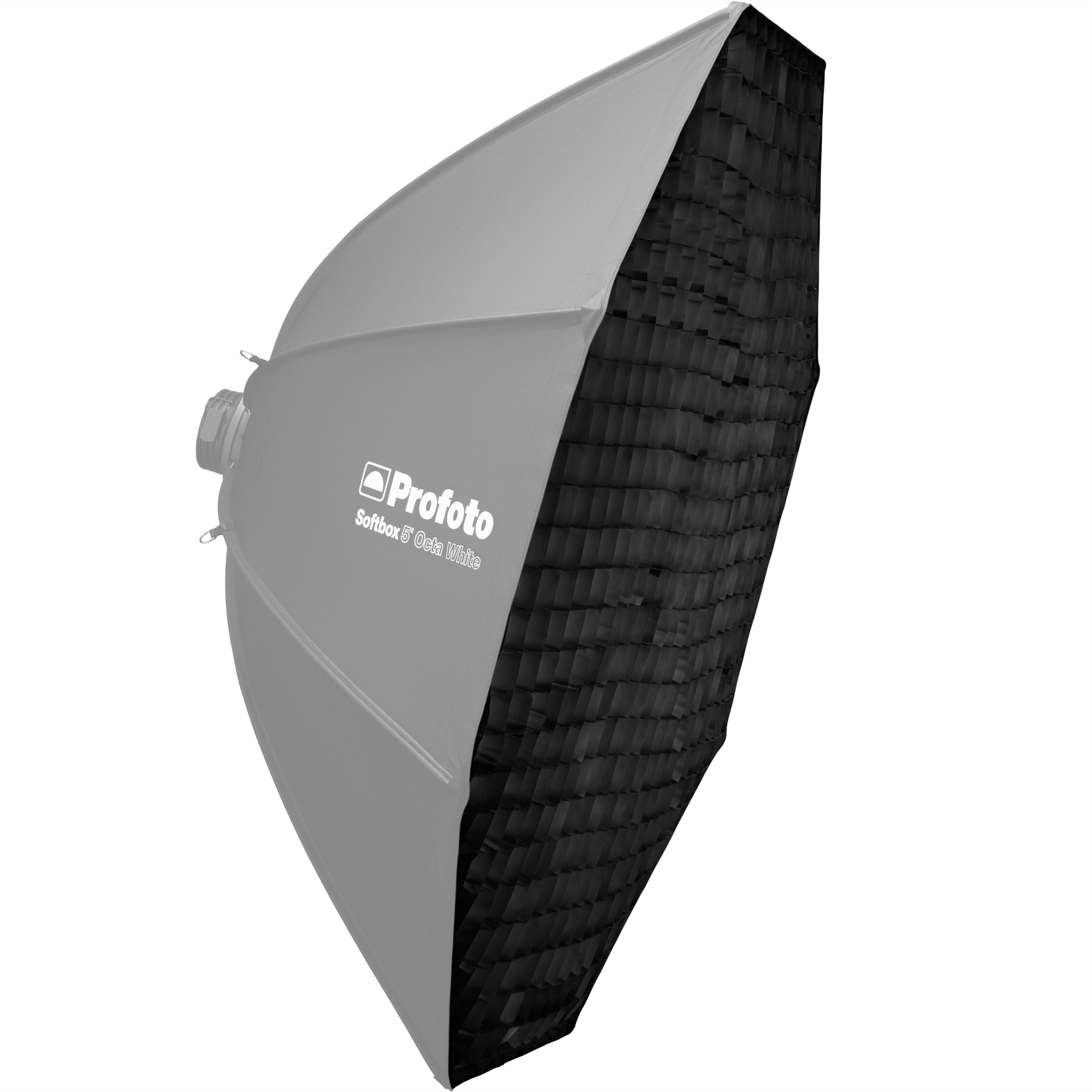 Profoto Softgrid 5' Octa with the softbox ghosted our for illustration purposes. 