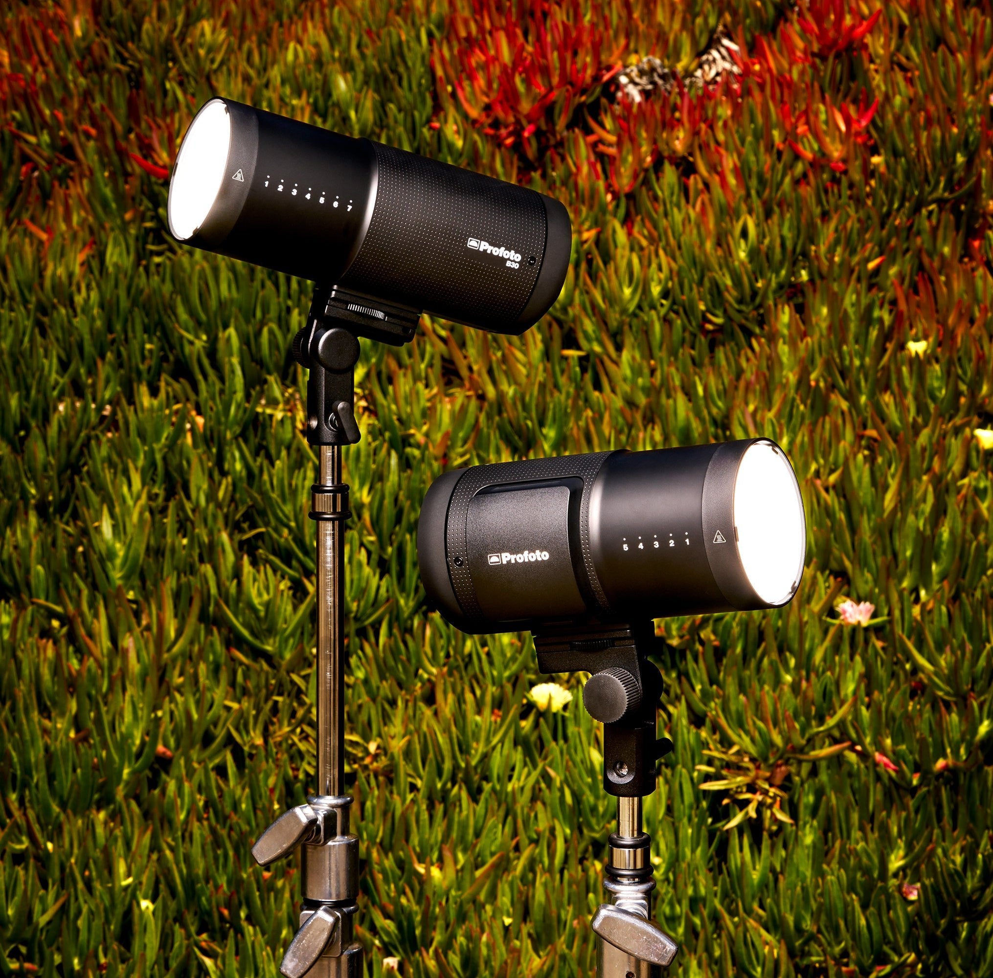 Profoto B20 and B30 against a floral background. 