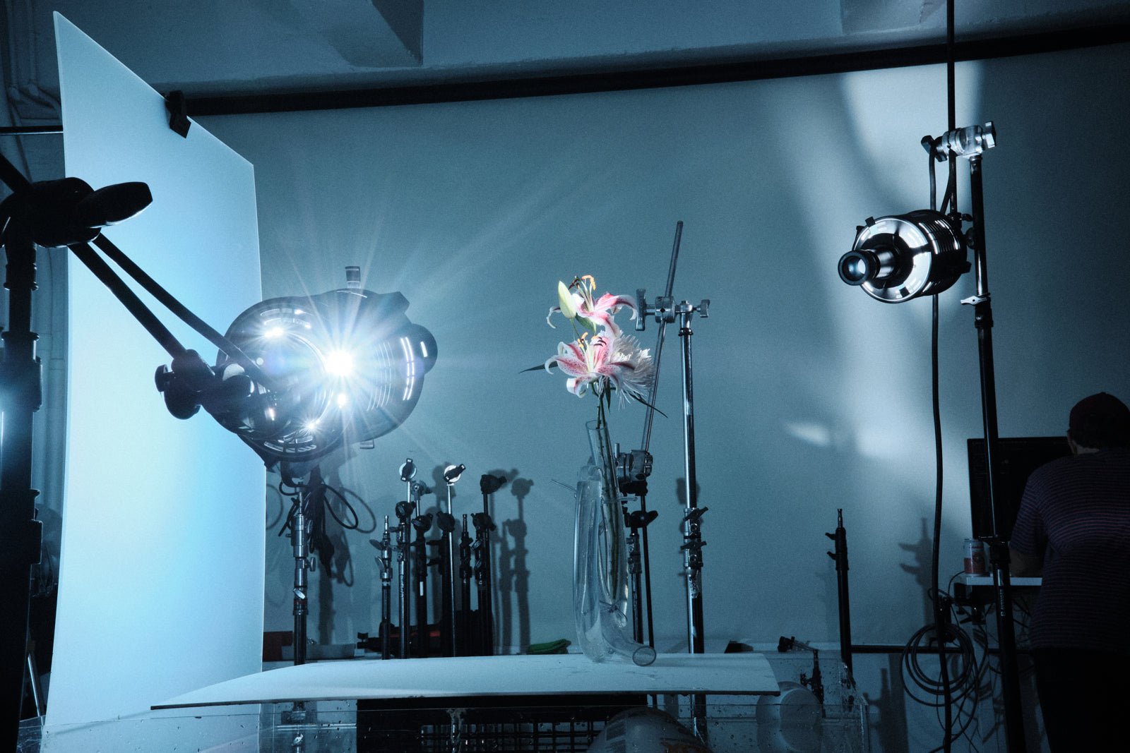 Busy studio scence with two Profoto Spot Small modifiers used to illuminate a flower. 