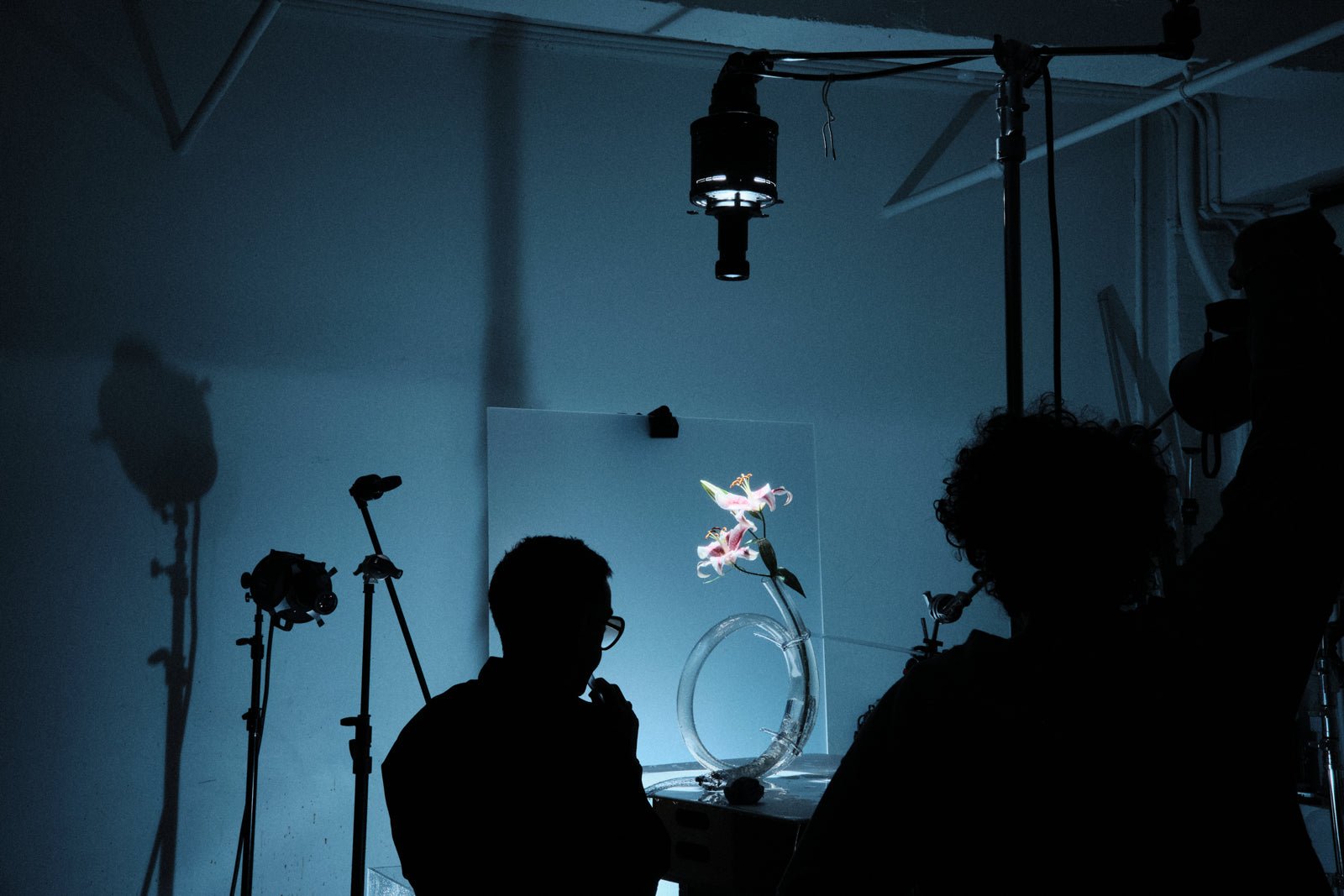 Busy studio scence with two Profoto Spot Small modifiers used to illuminate a flower and two photograhers in the foreground.