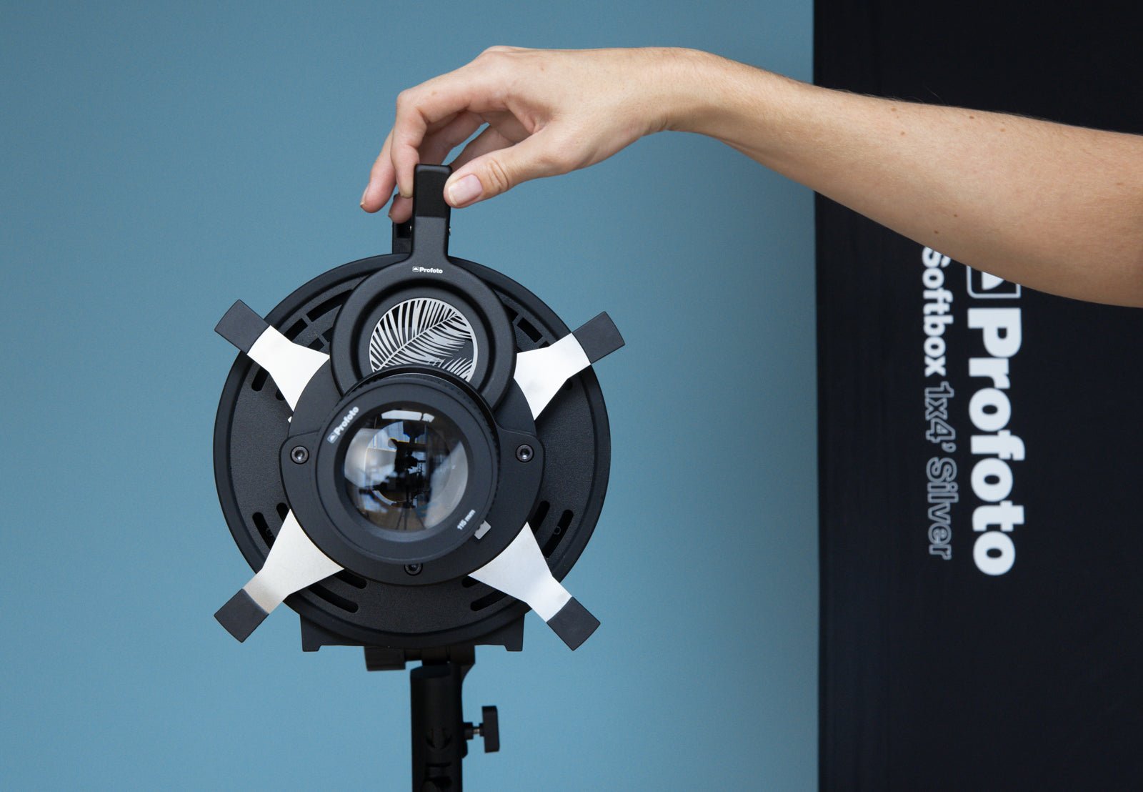 Profoto Spot Small with palm leaf gobo being added, against a duckegg blue background and Profoto 1x4 softbox to the right.