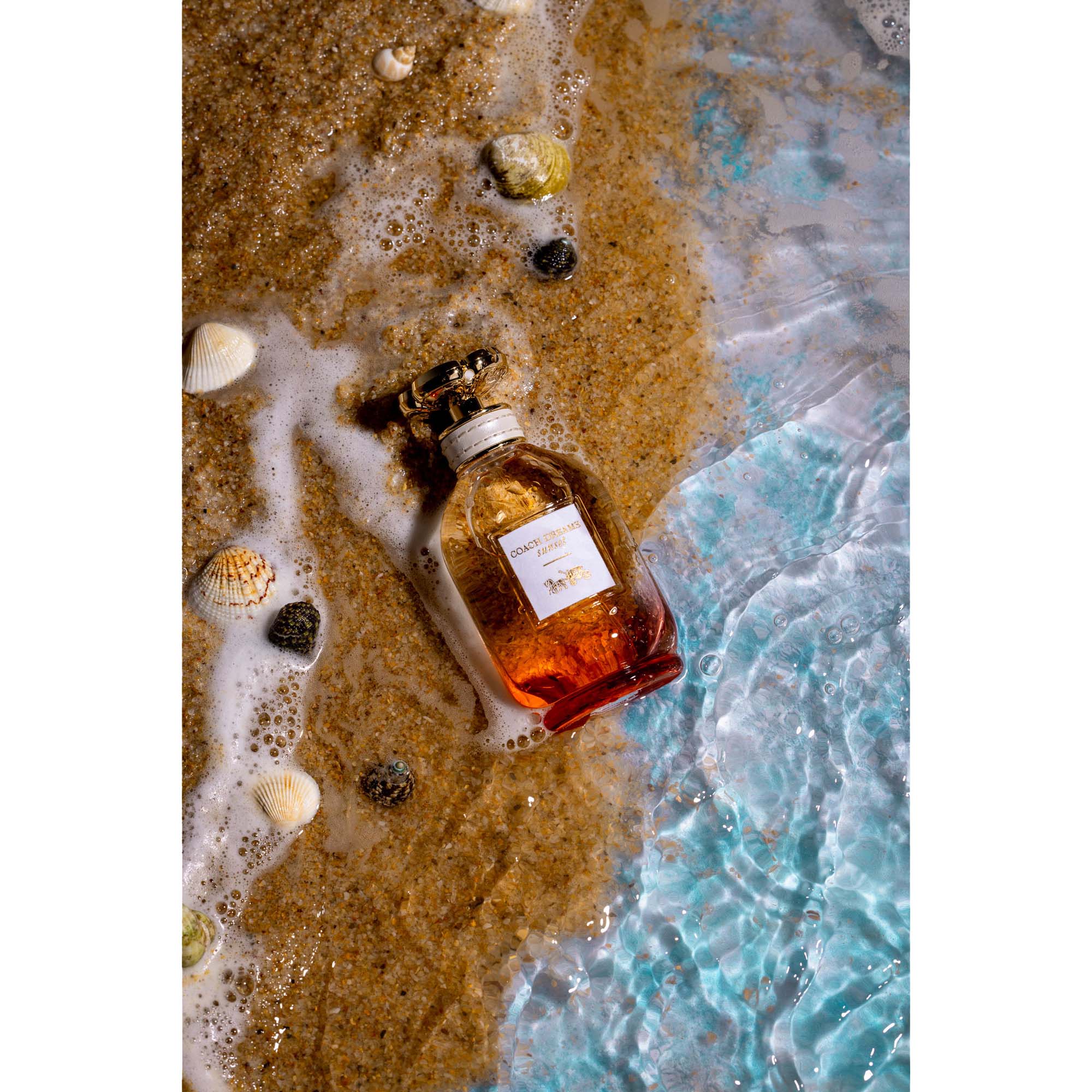 Final image using the V-Flat Aqua Tray (24"x19").