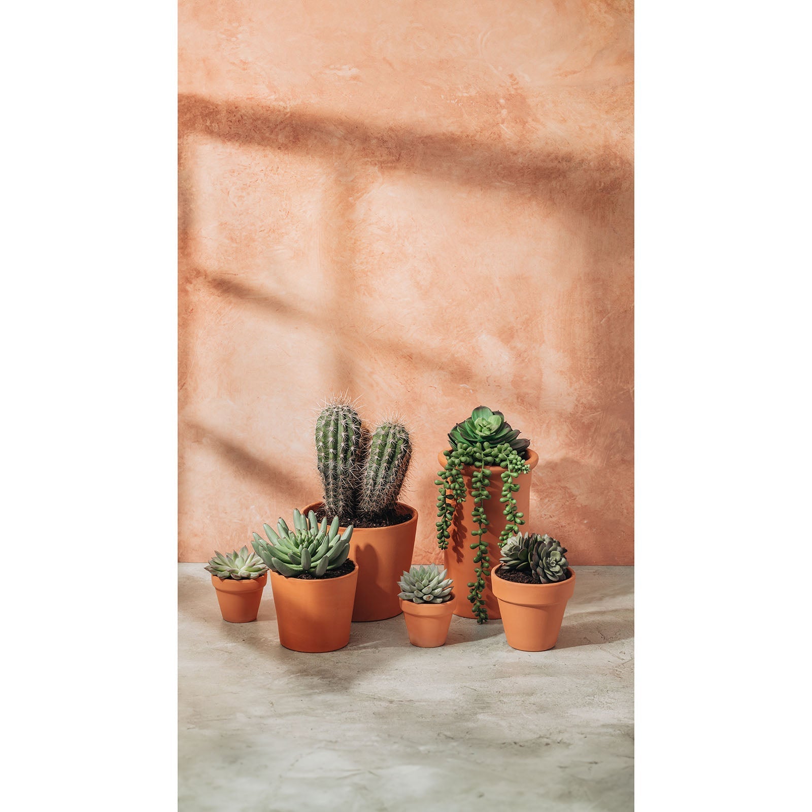 V-Flat French Clay/Terracotta Blush - XL Duo Board