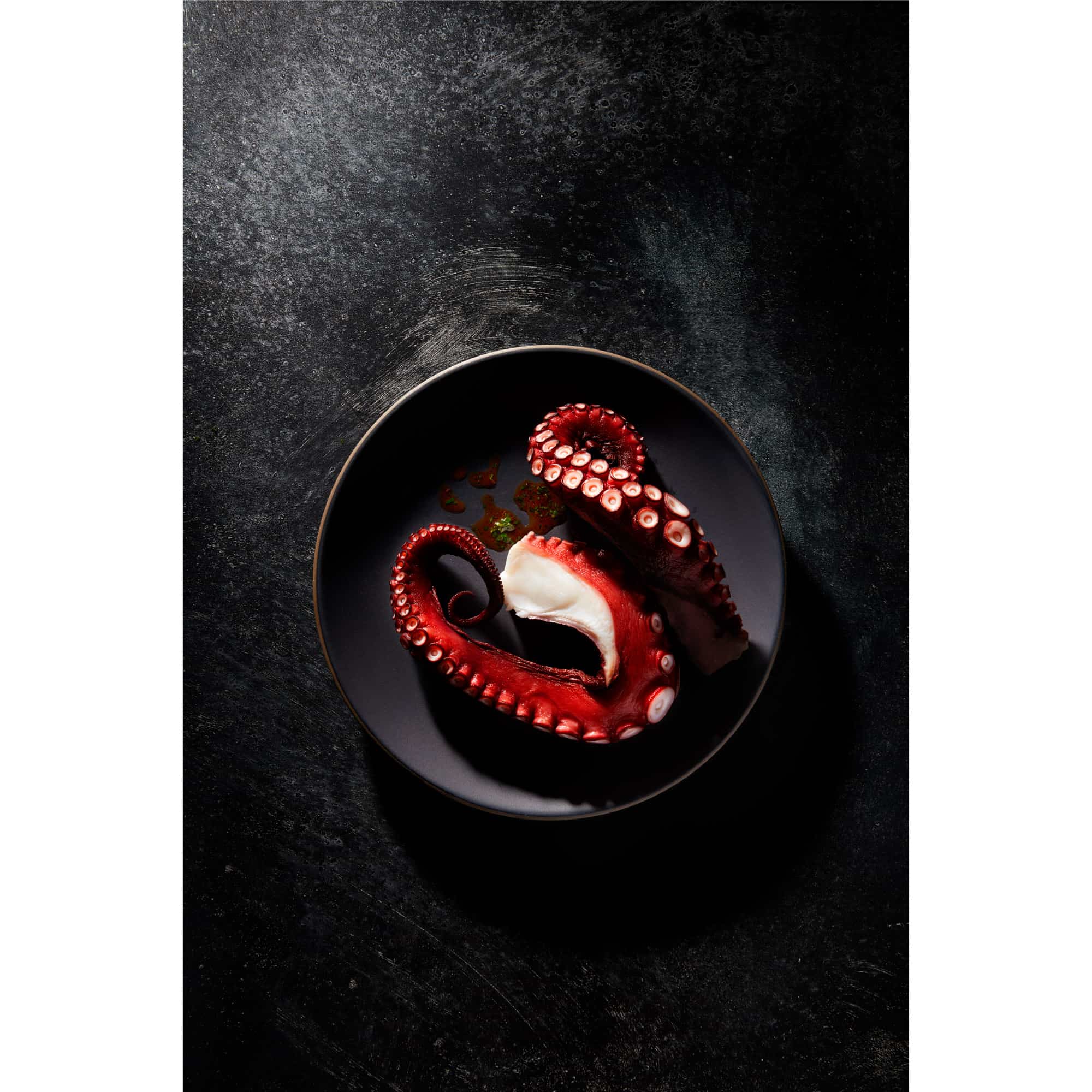 V-Flat Grey Chalk/Dark Chalk - XL Duo Board with an Octopus being photographed.