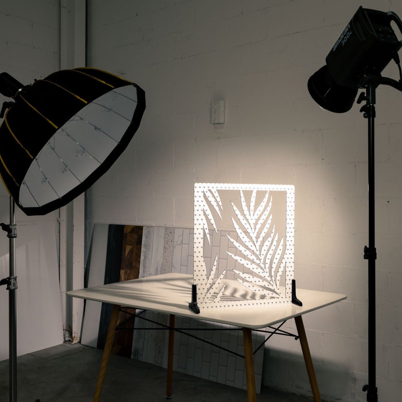 Palm Leaf on a tabletop in a studio. 