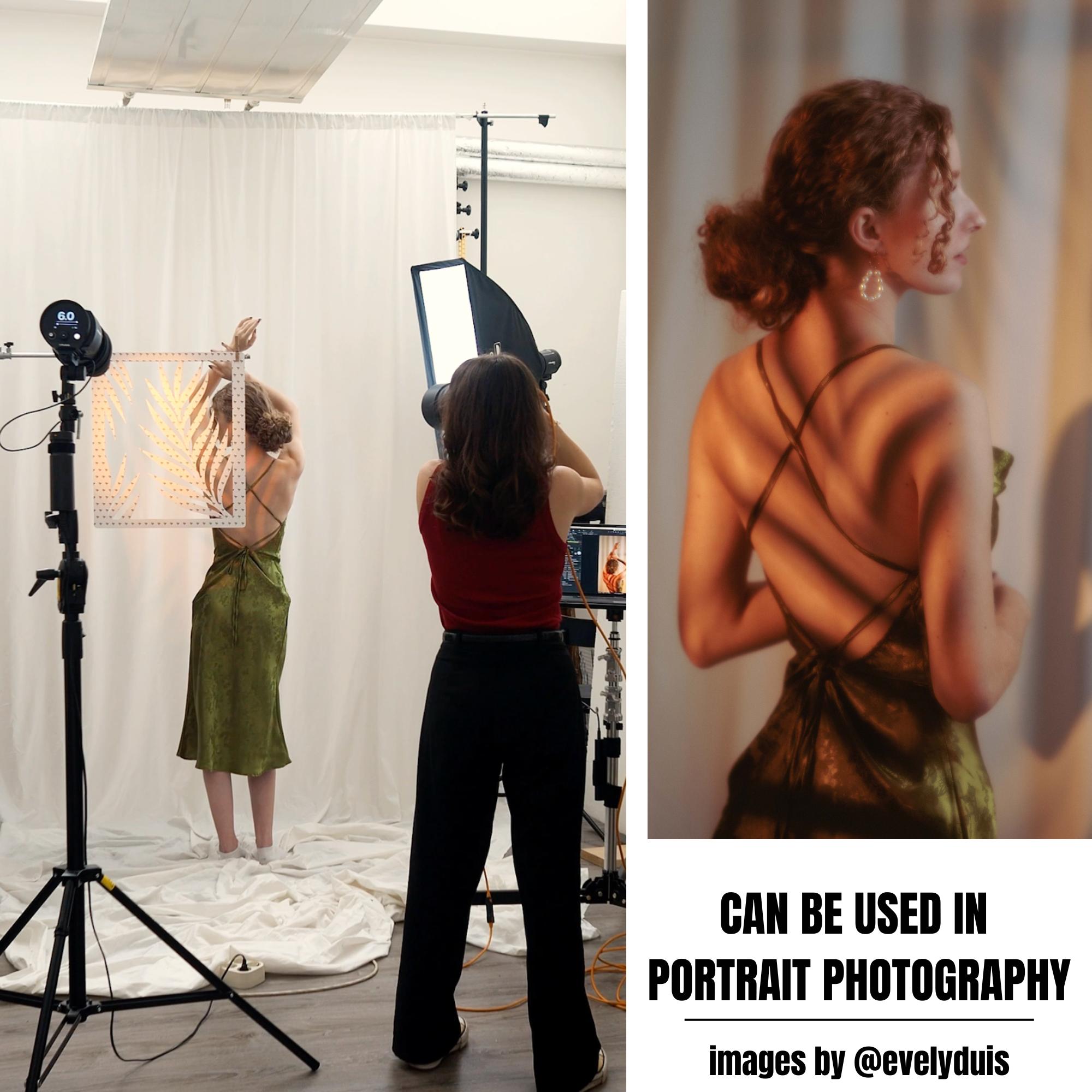 V-Flat Palm Leaf being used in a studio environment with a model.