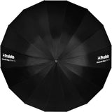Profoto Umbrella Deep Silver XL