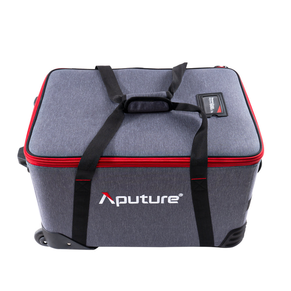 Aputure LS 600d Pro (V mount) (UK version)