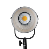 Nanlite Forza 200 LED Monolight