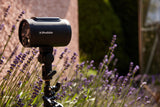 The Profoto A2 outdoors on a lighting stand in amongst some fragrant lavender