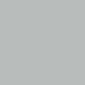 Colorama 1.35 x 11m (53" x 36ft) Mist Grey Seamless Background Paper