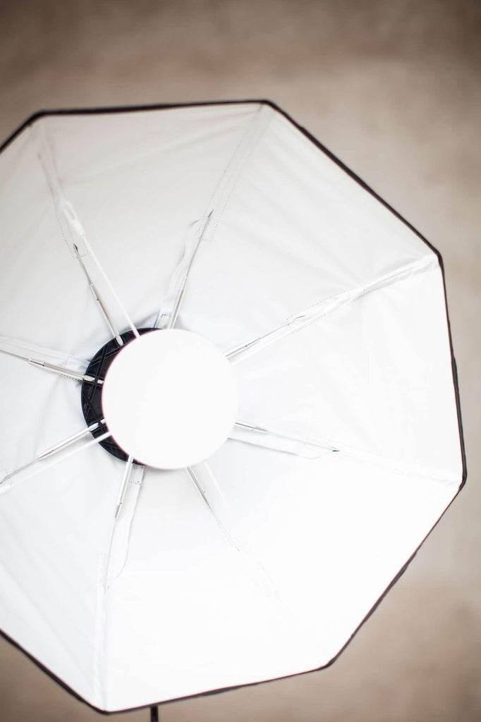 OCF Beauty Dish White 2' being used on a photo shoot