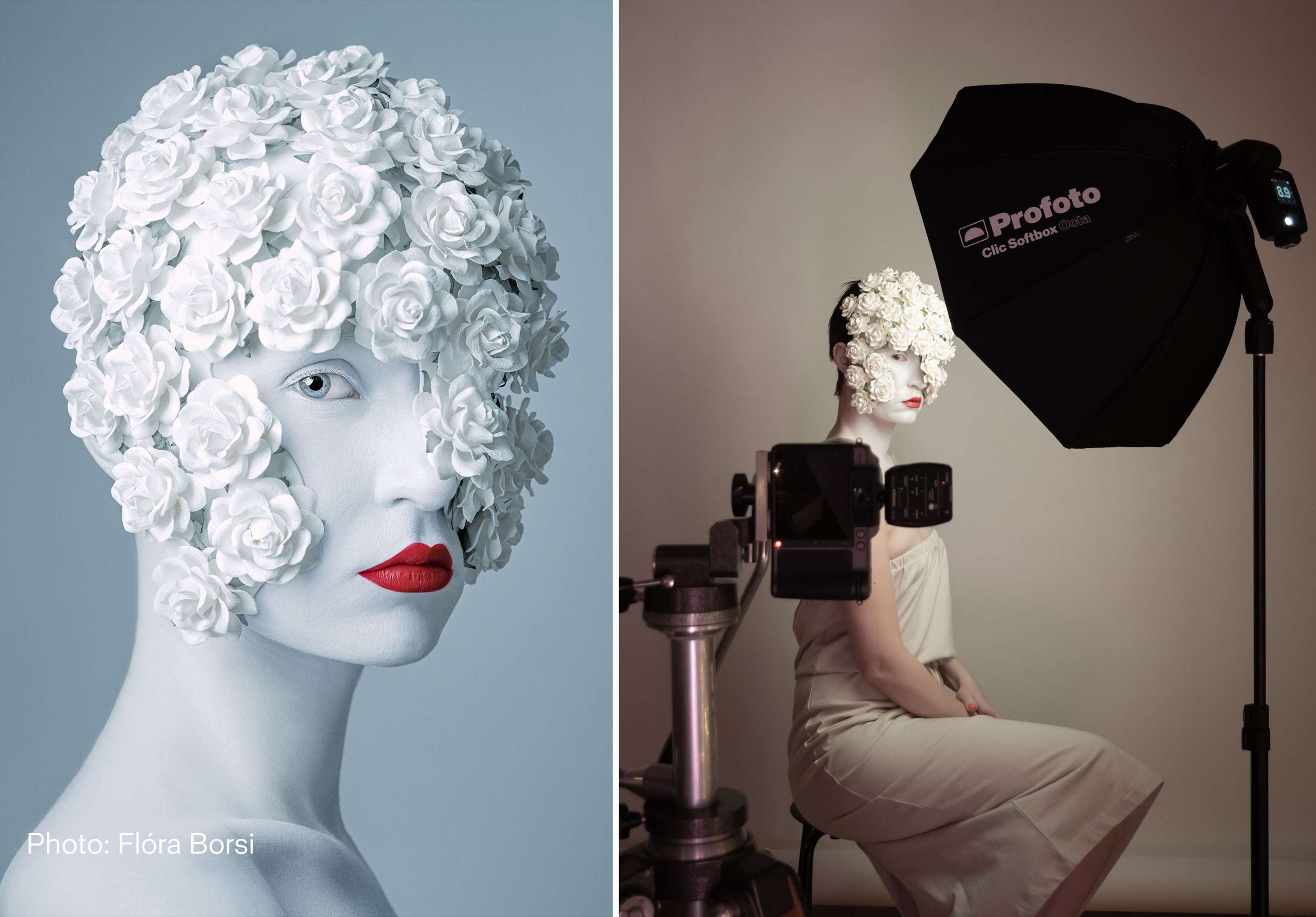 Profoto Clic Softbox 2.3’ (70cm) Octa