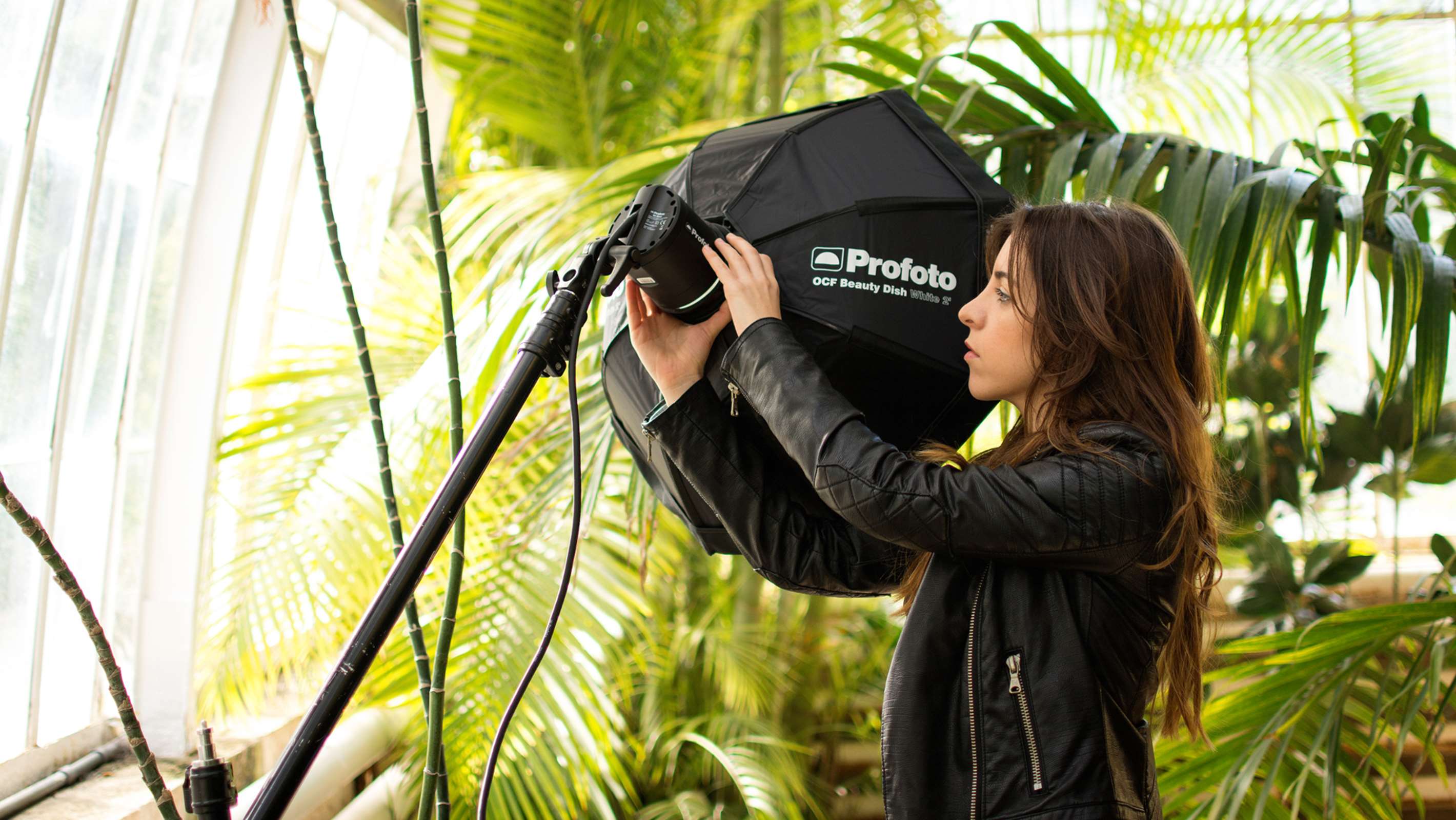 OCF Beauty Dish White 2' being used on a photo shoot